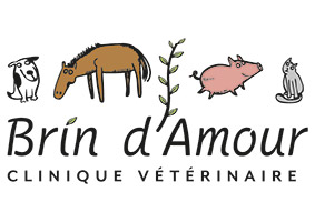 Logo Clinique Vétérinaire Brin d'Amour